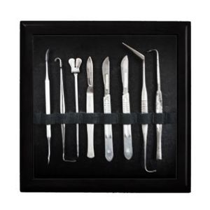 Meet your Posher, Cassandra